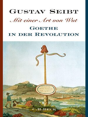 cover image of Mit einer Art von Wut
